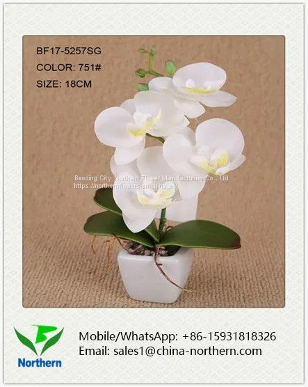 Mini Artificial Orchid for Table Decoration