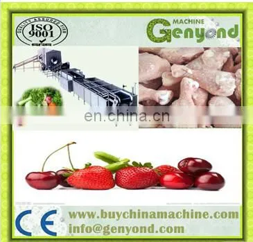 IQF Quick Freezing Sea Cucumber / Seafood Frozen Machinery / Blast Freezer Tunnel Machine photo-2