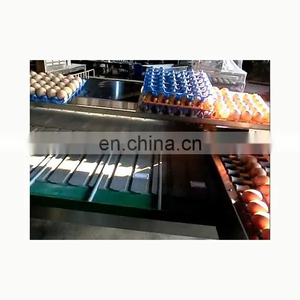 Multi-Function Egg Grading Equipment Price
