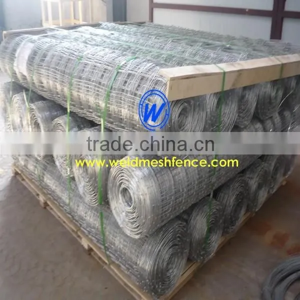 Hot Dipped Galvanized Grassland Fence ,field Fence| Werson Fence photo-5