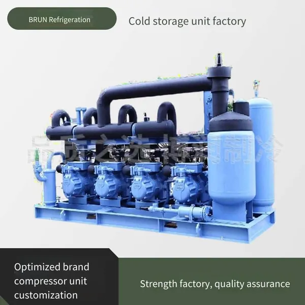 Agricultural Cold Storage, Borun Refrigeration Low-temperature Cold Storage Unit, 12 Hp, 4yd-12.2, Well-made Outdoor Cold Storage Unit photo-5
