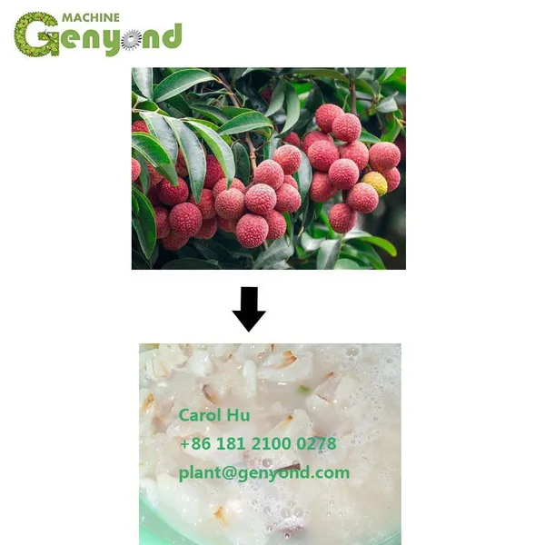 Lichi Lichee Leechee Litchi Lychee Peeling Seed Removing Machine photo-2