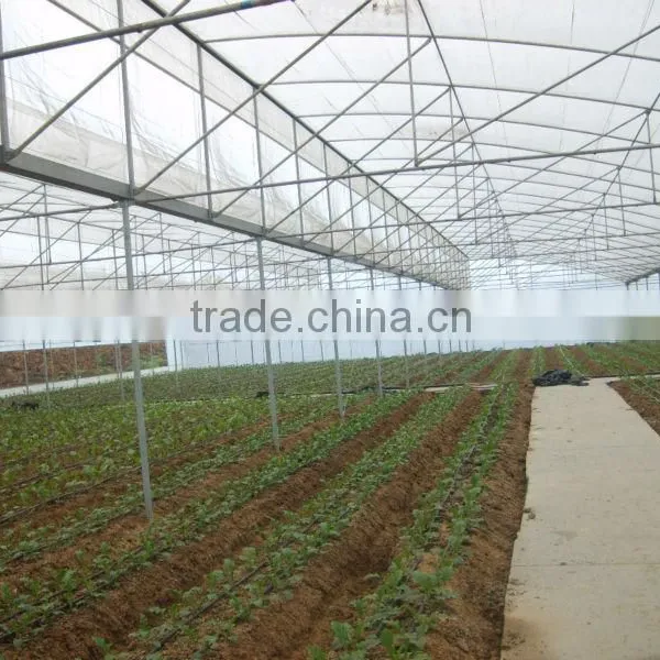 Anti-high Wind Strong Film Greenhouse photo-2