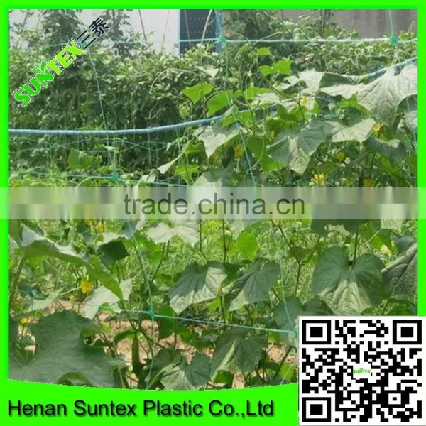 Garden Pea Trellis Netting Garden Support Mesh Net Climbing Plant Support Netting photo-6