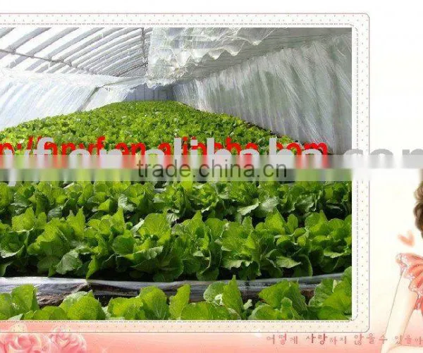 Anti-UV Long Age Greenhouse Film