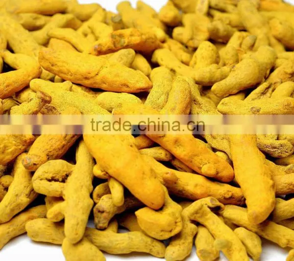 Polished Turmeric Finger for UAE Buyers