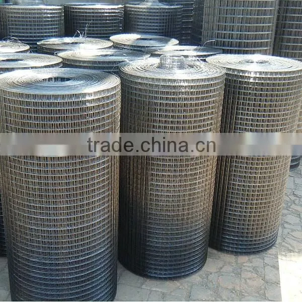 1.5 Inch Welded Wire Mesh Best Quality photo-5