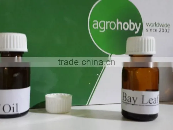 Laurel Bay Leaf Essential Oils , Laurel Oil photo-3