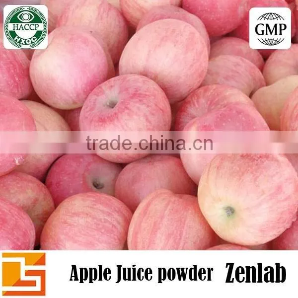 Freeze Dried Apple Juice Powder photo-3