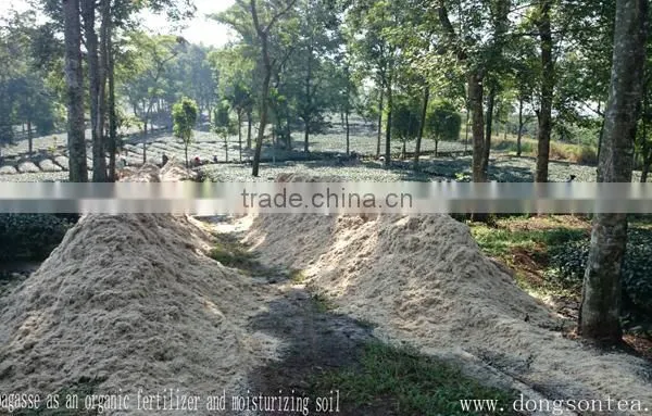 Vietnam Oolong Black Tea photo-5
