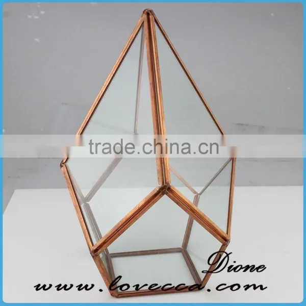 Unquie Shape Custom-made Home Garden Geometric Glass Terrarium Perfect With Black Metal Frame Lead and Nickle Free photo-6