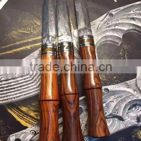 Doshower Butcher Knife With Knives Hunting of Mosaic Pins for Knife Handles