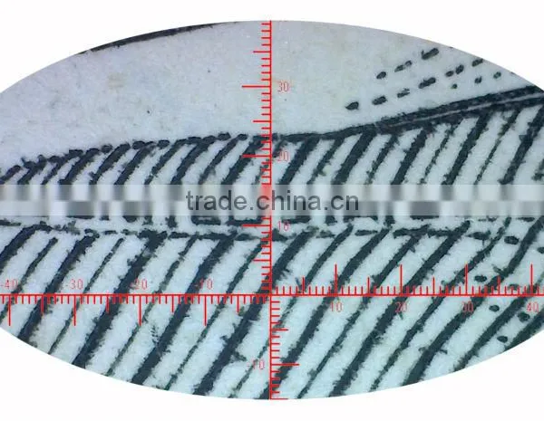 Patent MDA2000R Handheld Digital Microscope Cameras for Video Inspectio With Reticle Measurement Function photo-6