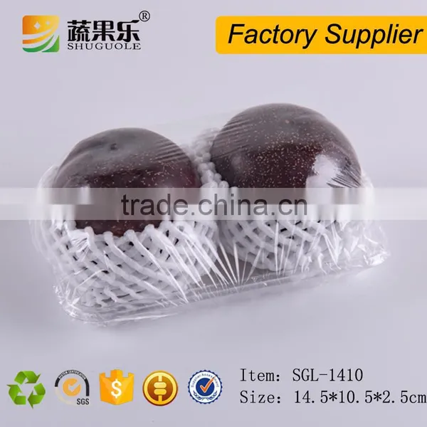 Blister Plastic Disposable Food Fruit Tray photo-3