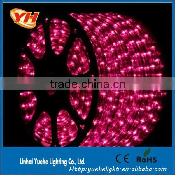 Outdoor Led Neon Flex Lights