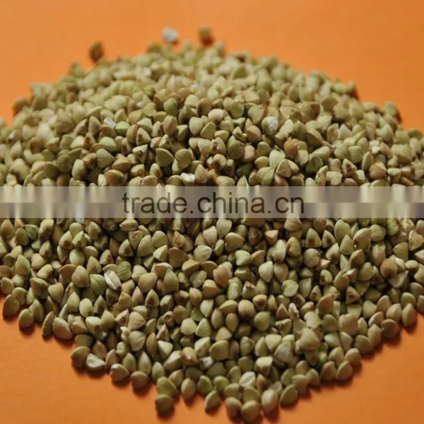 BB High Quality Raw Sweet Buckwheat Price photo-2