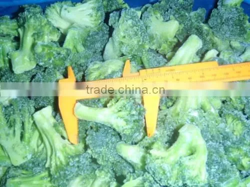 Health Food Halal Food Quick Frozen Broccoli