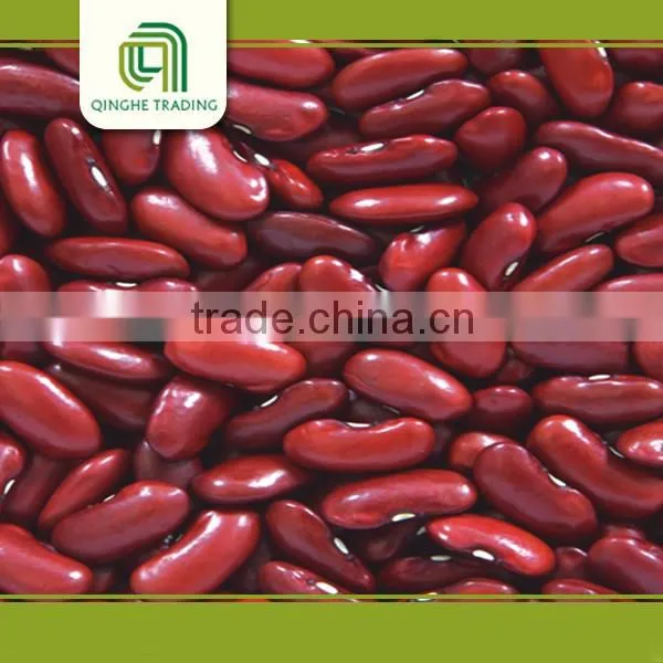 Canned Red Kidney Beans in Brine Pulse photo-6