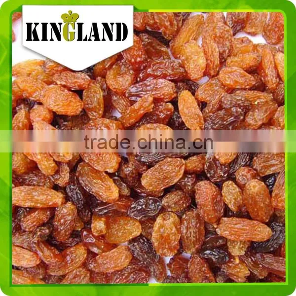 All Types of Raisins for Sale Sultana, High Quality, Exporting photo-3