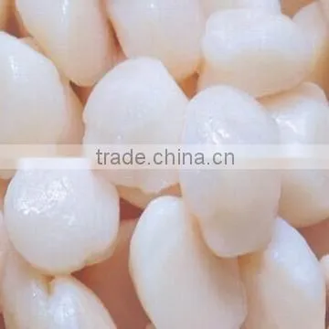 Frozen Sea Scallops Adductor