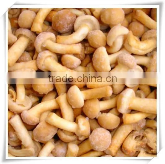 Material of Soup/nourishment Food /health Food Mushroom photo-6