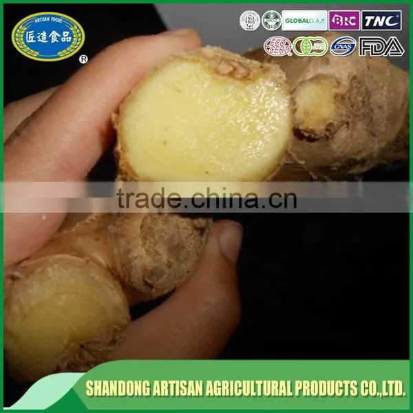 Professional Supplier,exporter Dry Ginger photo-4