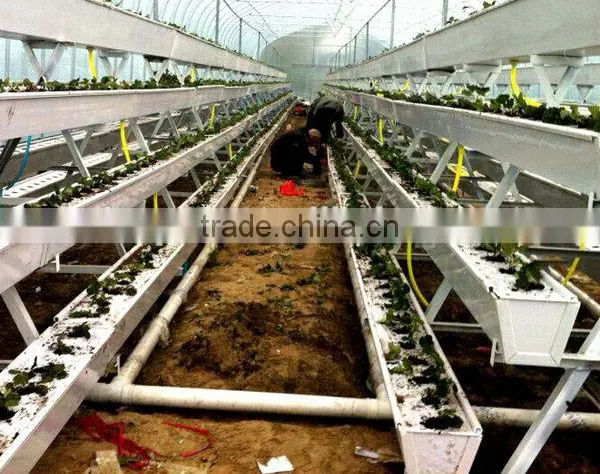 Hydroponic Gutter for Strawberry photo-4