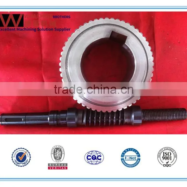 High Precision Nylon Worm Gear Made in China photo-6