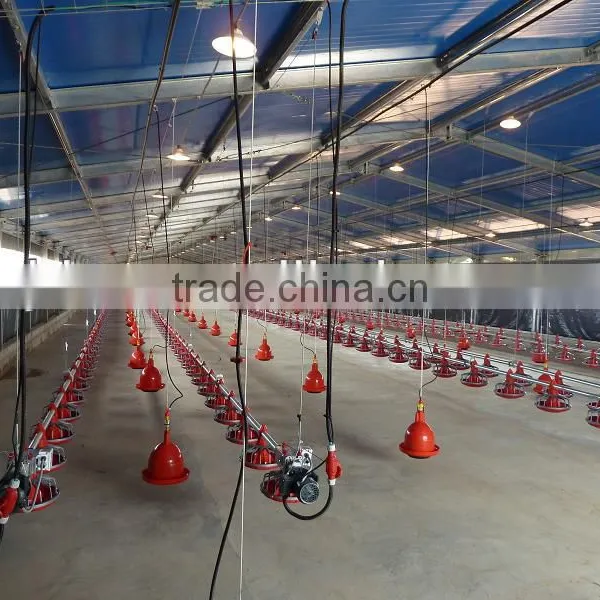 Light Steel Chicken House photo-6