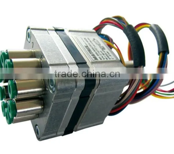 Peanut With Shell CCD Belt Color Sorter Machine From HONS+, Gold Supply photo-5
