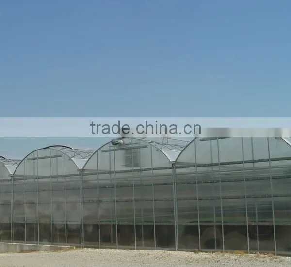 Tomato Greenhouse Greenhouse for Tomatoes/ Cucumber/ Peppers photo-2