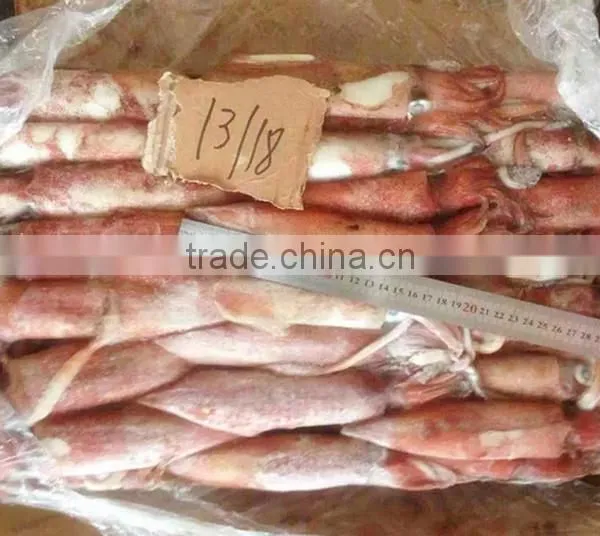 Sea Frozen Loligo Chinensis ,for Italy ,Greece et ,EU Market photo-3