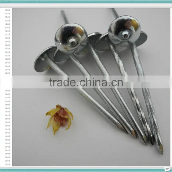Corrugated Roofing Nails Manufacturers in China photo-3