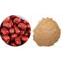 Fructus Jujubae Extract Plant Extract Factory