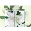 Sell Ultra Clear Silver Mirror