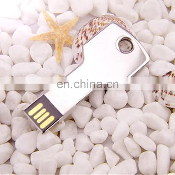 Low Price Custom Promotion Metal USB Stick USB 2.0 Popular Pen Drive Key Shaped USB Flash Drive photo-2