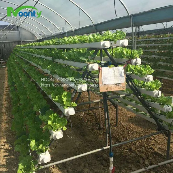 Farm Hydroponics photo-3