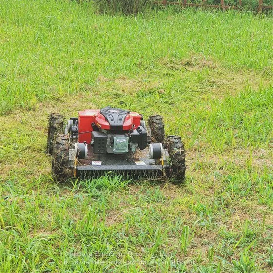 Radio Control Lawn Mower, China Grass Cutter Price, Tracked Robot Mower for Sale photo-5