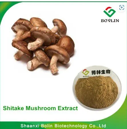 Shitake Mushroom Extract