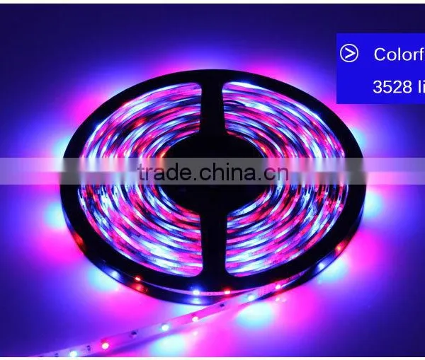 RGB LED Strip 5M 300Led 3528 SMD Fleible Light Led Tape Ribbon + 12V 2A Power Supply Adapter Home Decoration LED Lamps photo-6