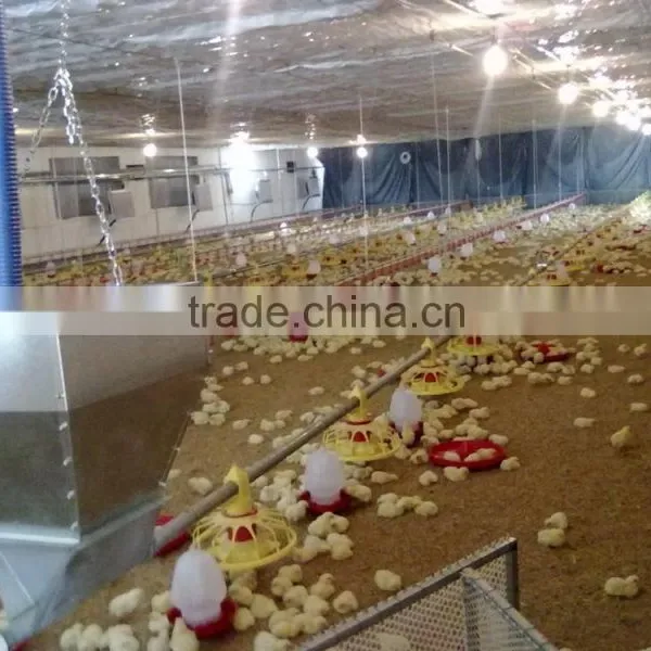 2016 Modern Automatic Quail Poultry Feeding Equipment photo-5
