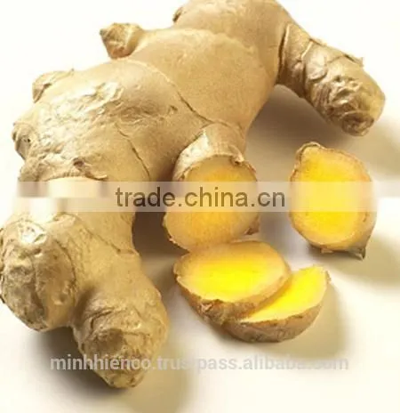 Fresh Ginger photo-3