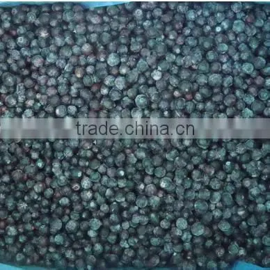IQF FROZEN BLUEBERRY