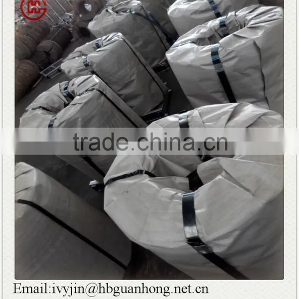 Galvanized Metal Steel Strip photo-2