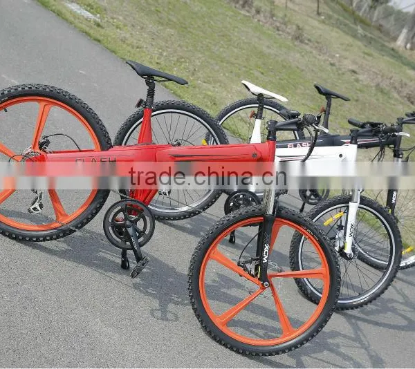 Iso9001 Electric Bicycle Manufacturer,mountain Electric Bicycle,motor for Electric Bicycle