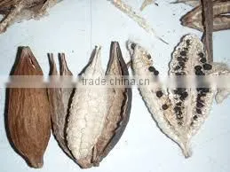 Kapok Seed Meal photo-3