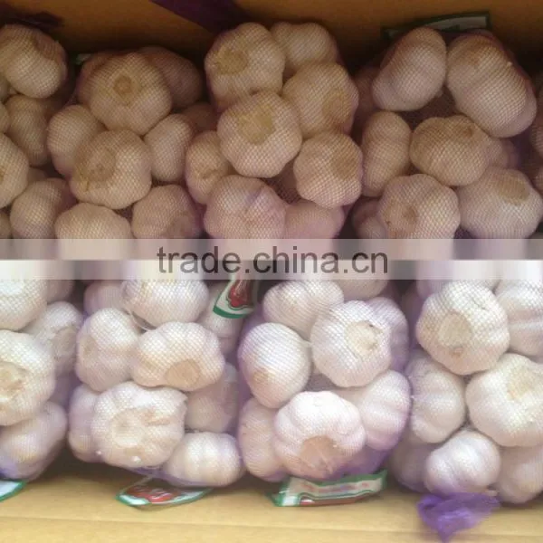 Chinese New Garlice Price photo-6