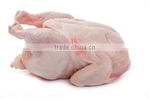 CHICKEN BREASTS photo-5