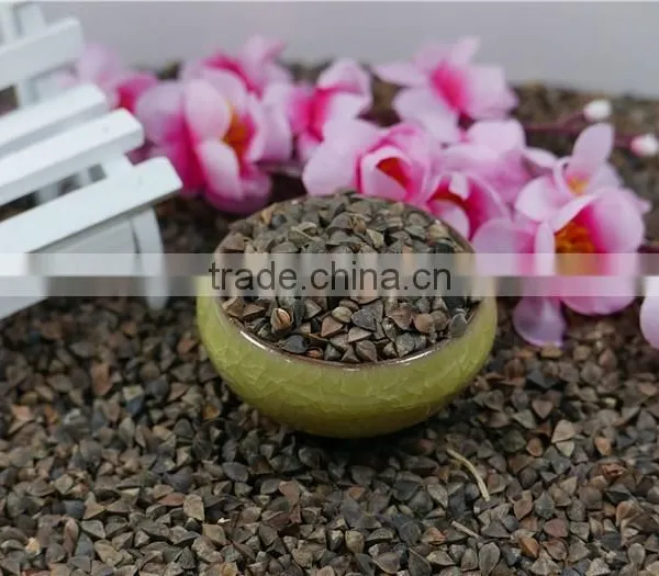 High Quality Raw Buckwheat Price photo-2