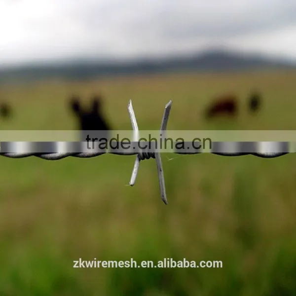 Hot Dipped Galvanised Barbed Wire(with High Tensile Strength) photo-2